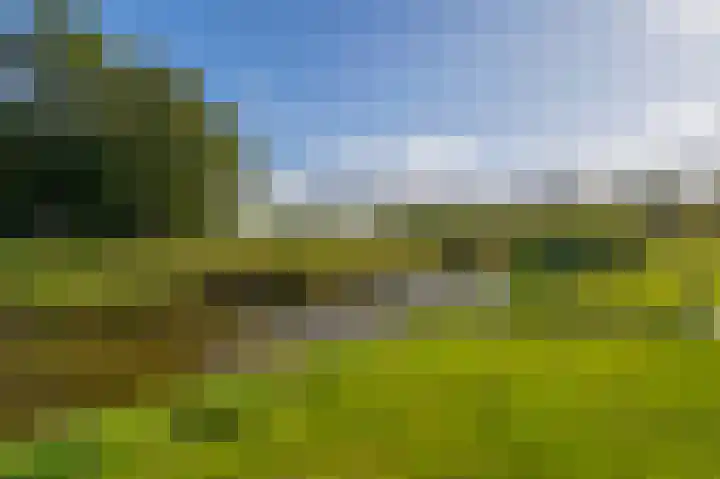 Molenstraat 7 Beerta thumbnail 31