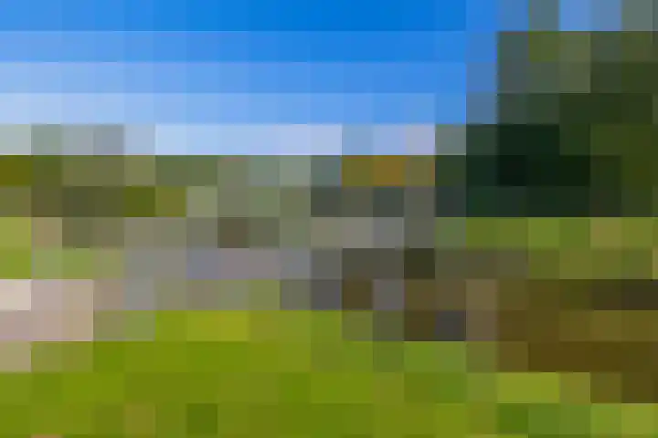 Molenstraat 7 Beerta thumbnail 4