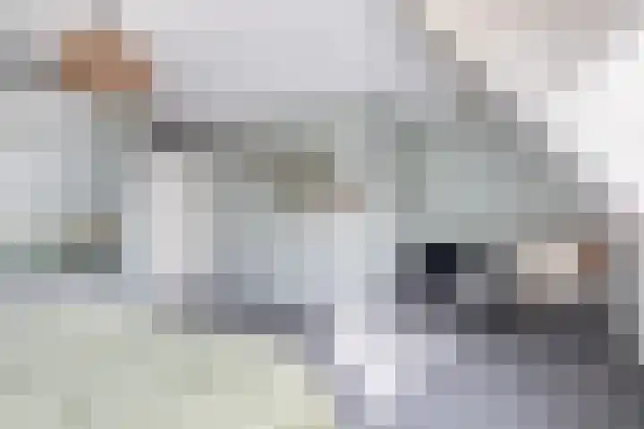 Molenstraat 7 Brielle thumbnail 24