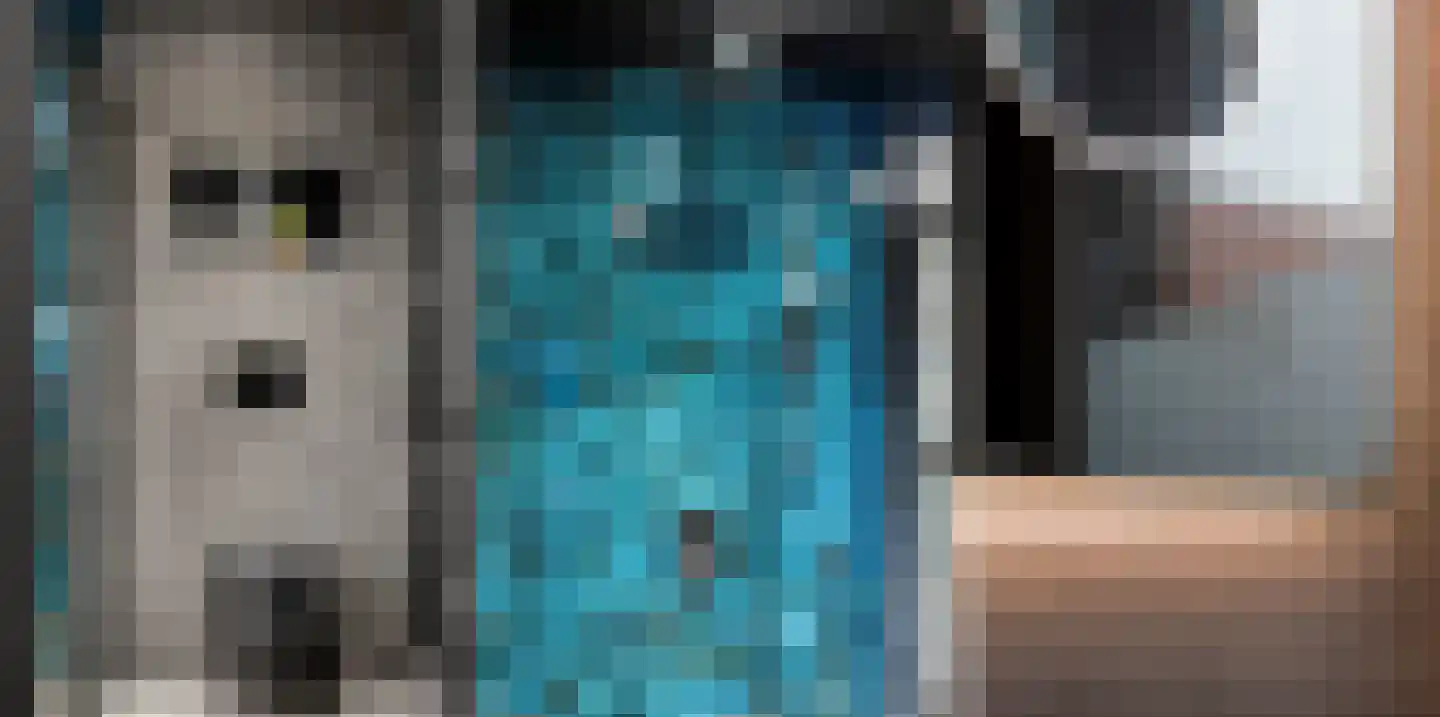 Molenstraat 7 Groede thumbnail 30