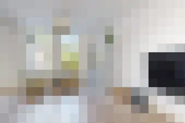 Molenstraat 7 Klundert thumbnail 19