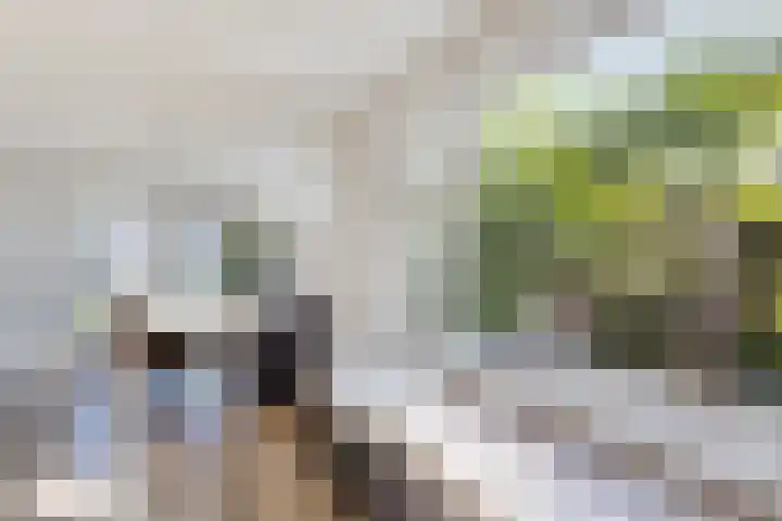 Molenstraat 7 Klundert thumbnail 32