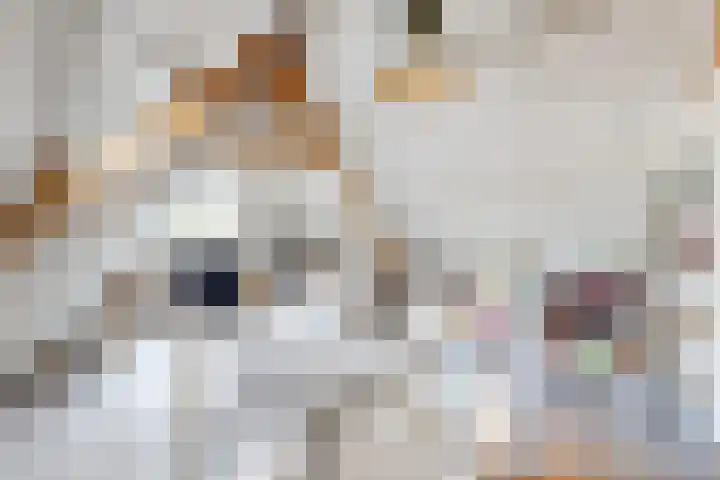 Molenstraat 7 Klundert thumbnail 55