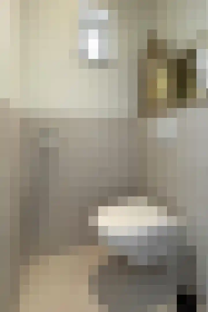 Molenstraat 7 Klundert thumbnail 9