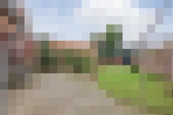 Molenstraat 7 Sevenum thumbnail 32