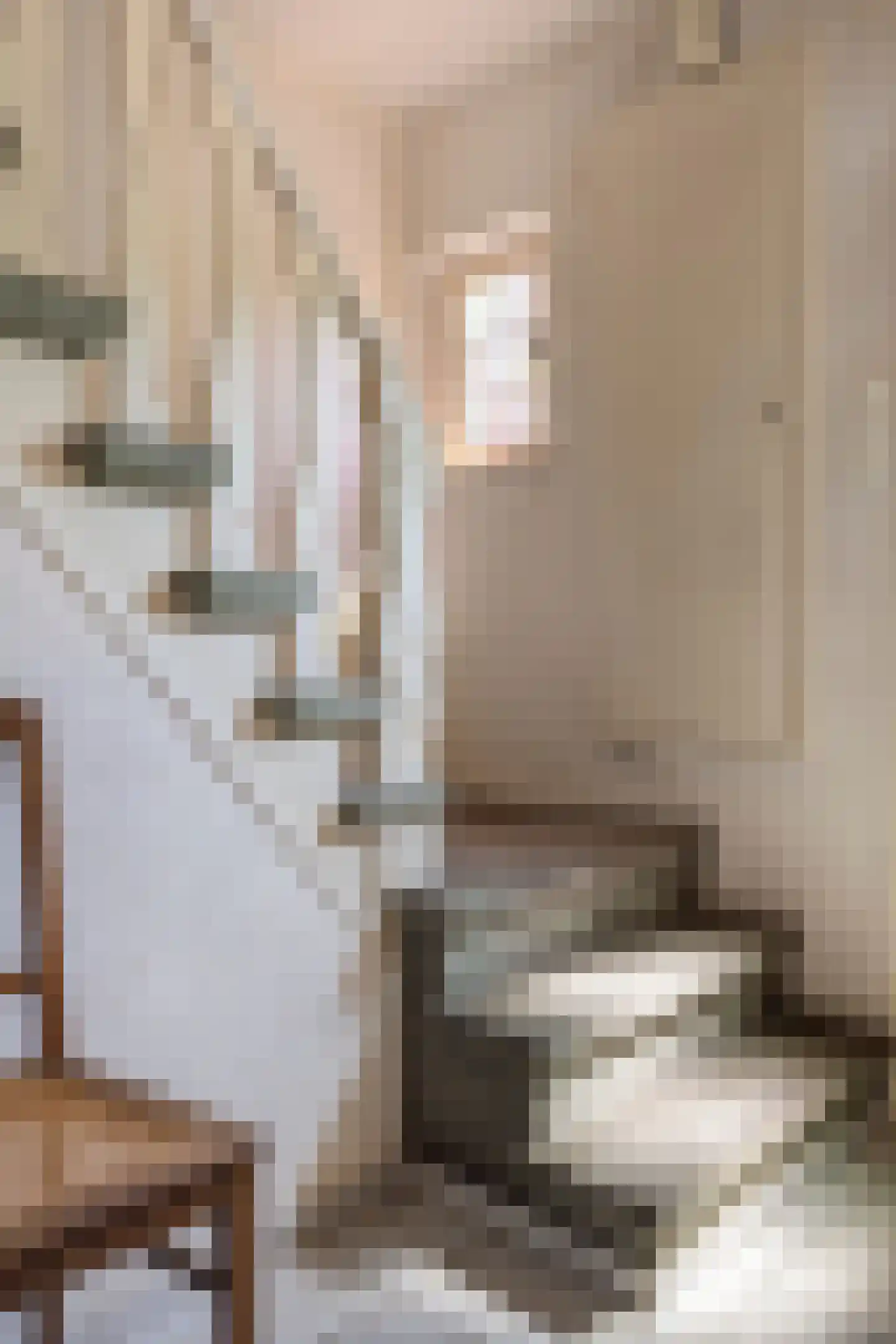 Molenstraat 7 Swalmen thumbnail 10