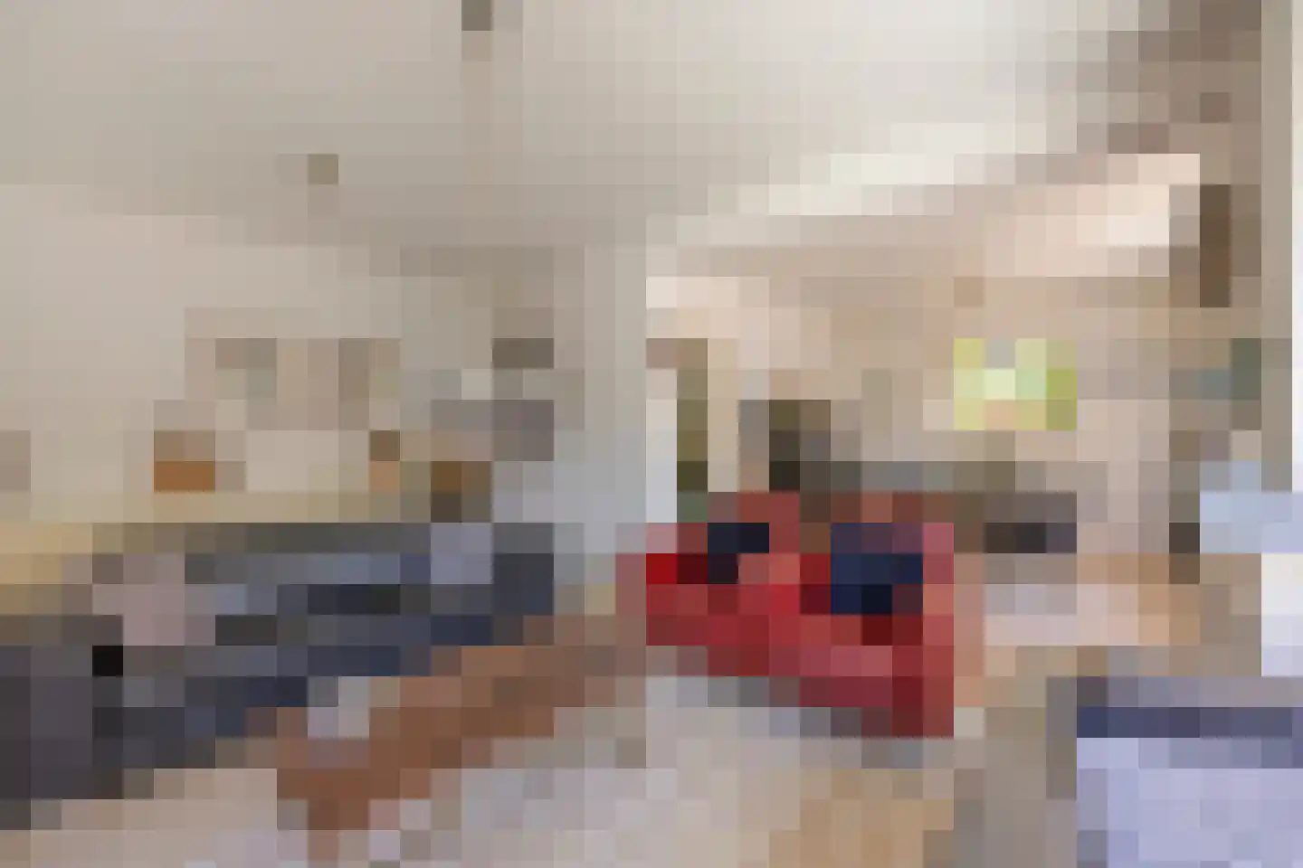 Molenstraat 7 Swalmen thumbnail 14