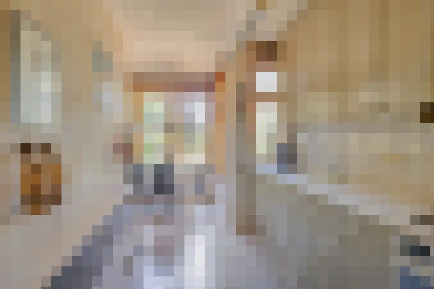 Molenstraat 7 Swalmen thumbnail 4