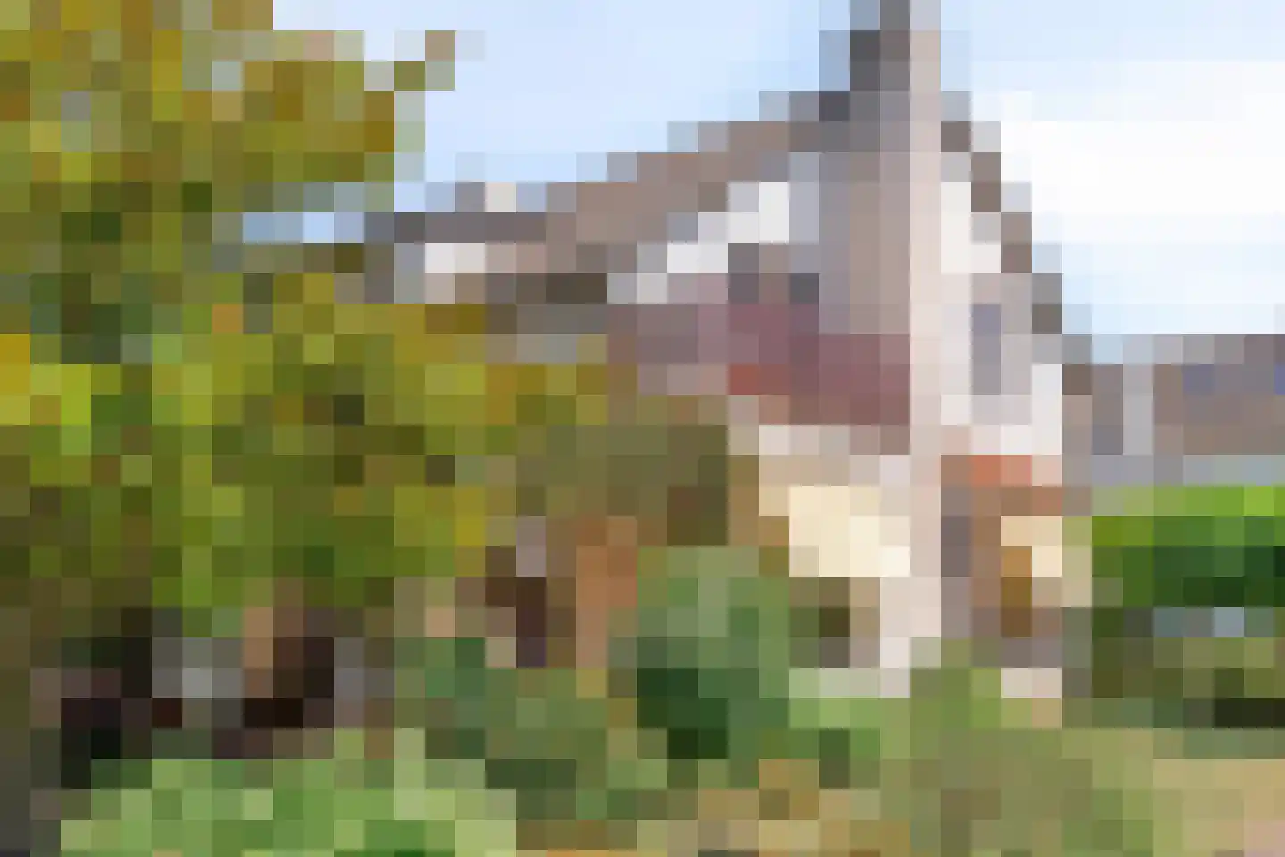 Molenstraat 7 Swalmen thumbnail 57