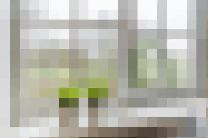 Molenstraat 7 Westdorpe thumbnail 16