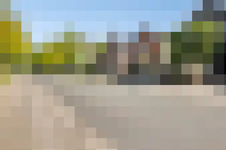 Molenstraat 71 Ulvenhout thumbnail 46