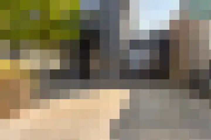 Molenstraat 71 Ulvenhout thumbnail 5