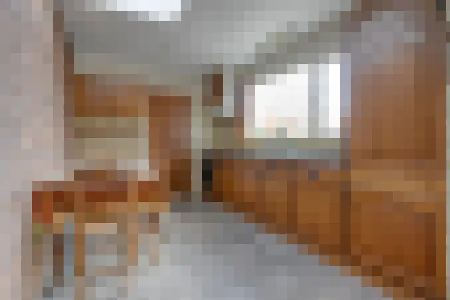Molenstraat 72 Losser thumbnail 10