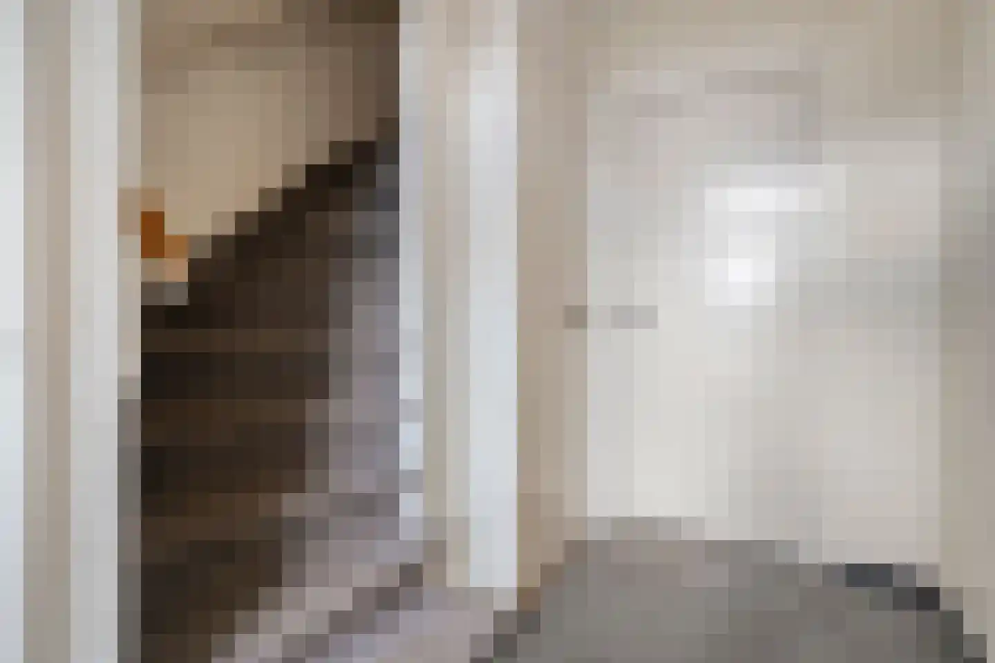 Molenstraat 72 Losser thumbnail 5