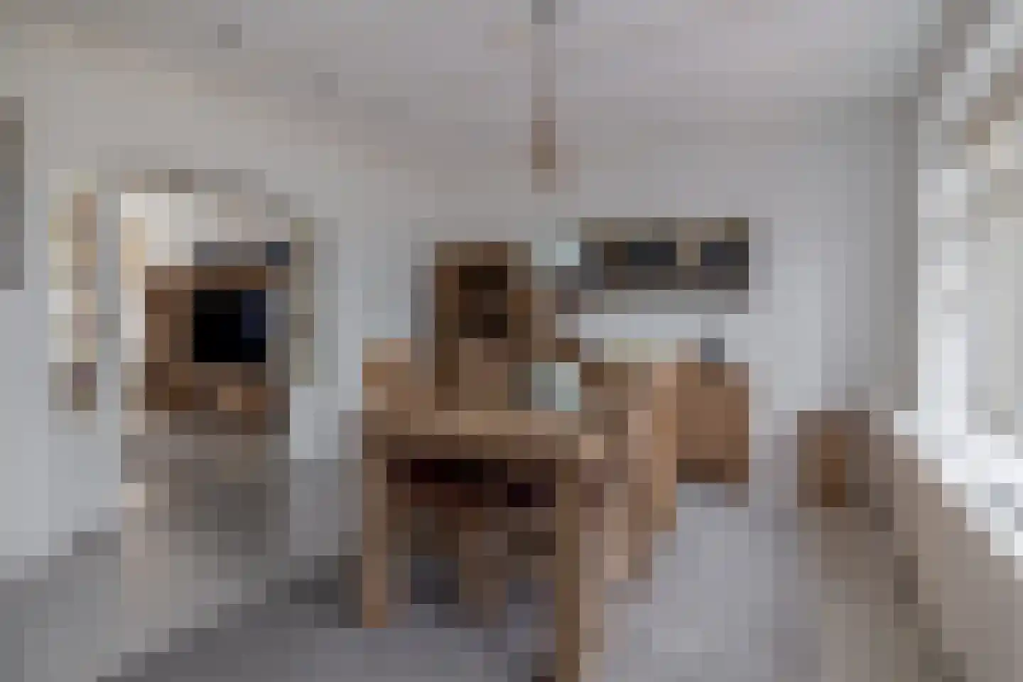 Molenstraat 73 Fijnaart thumbnail 14