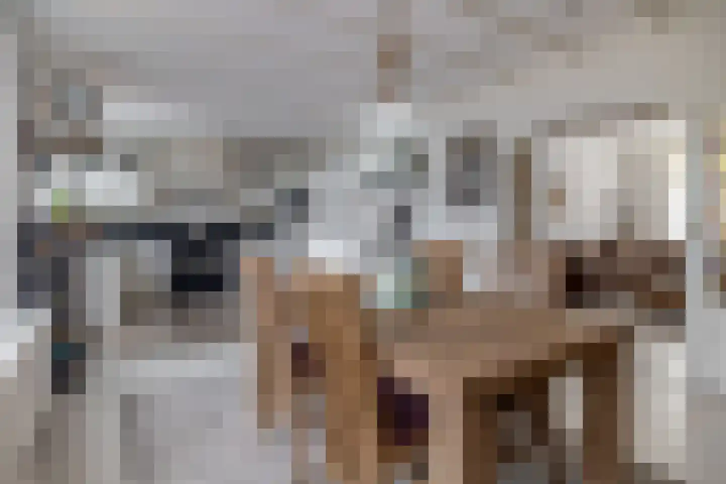 Molenstraat 73 Fijnaart thumbnail 15
