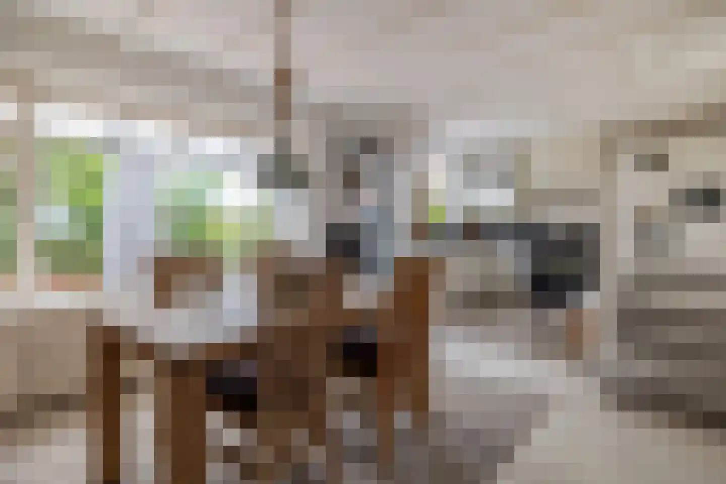 Molenstraat 73 Fijnaart thumbnail 16