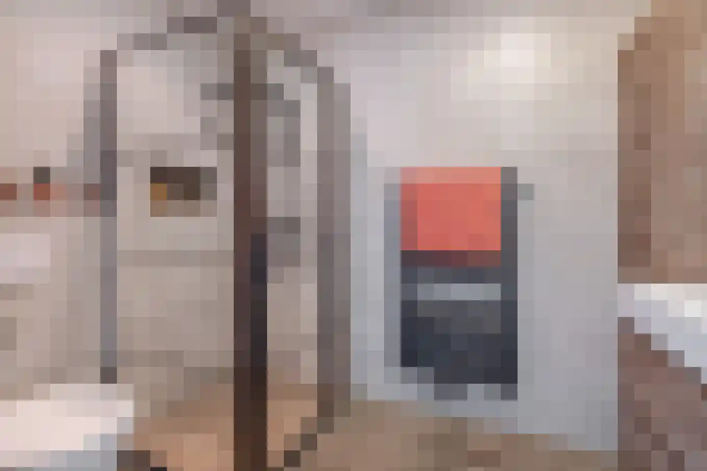 Molenstraat 73 Fijnaart thumbnail 23