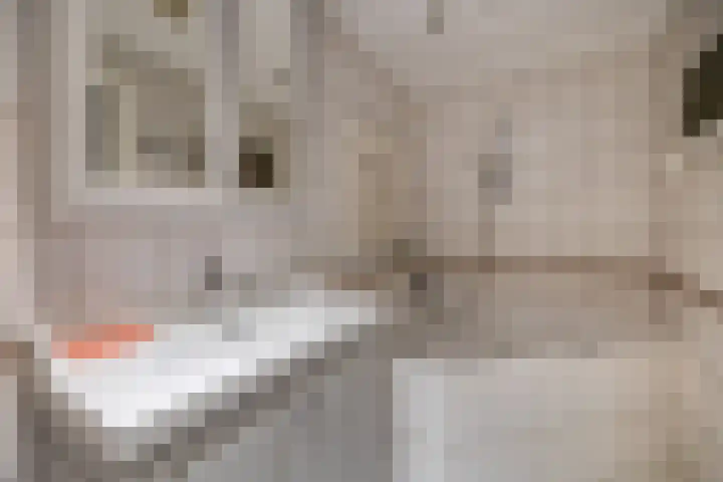 Molenstraat 73 Fijnaart thumbnail 29