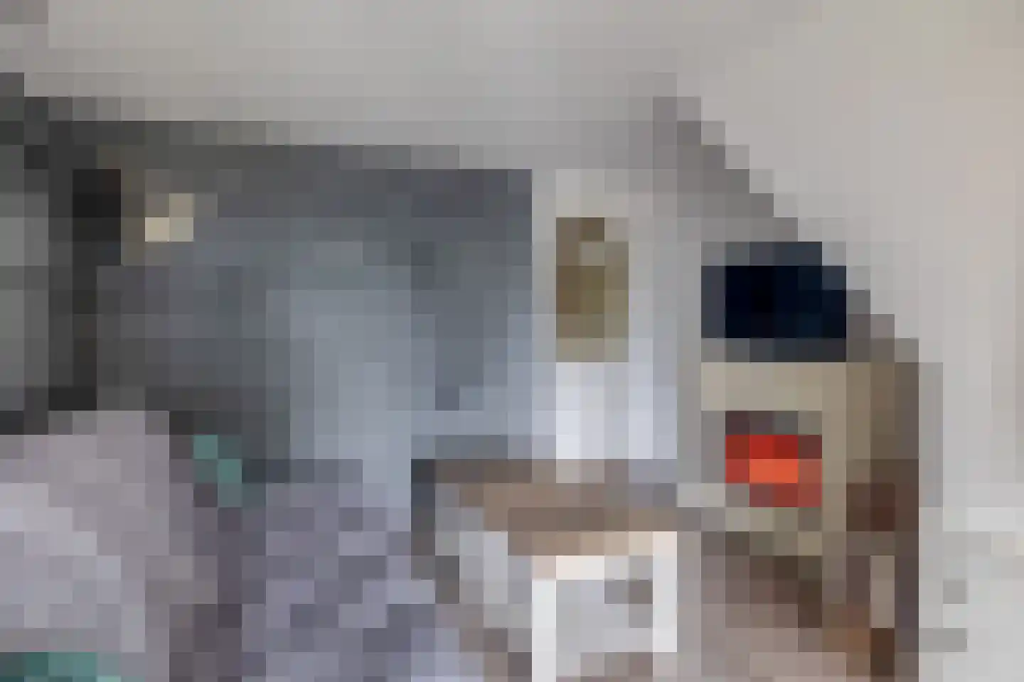 Molenstraat 73 Fijnaart thumbnail 36