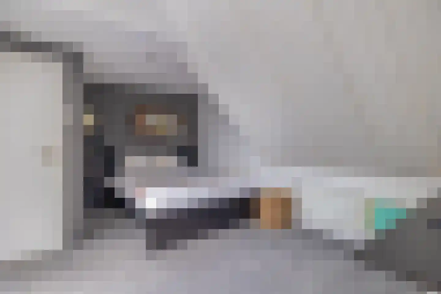 Molenstraat 73 Fijnaart thumbnail 40