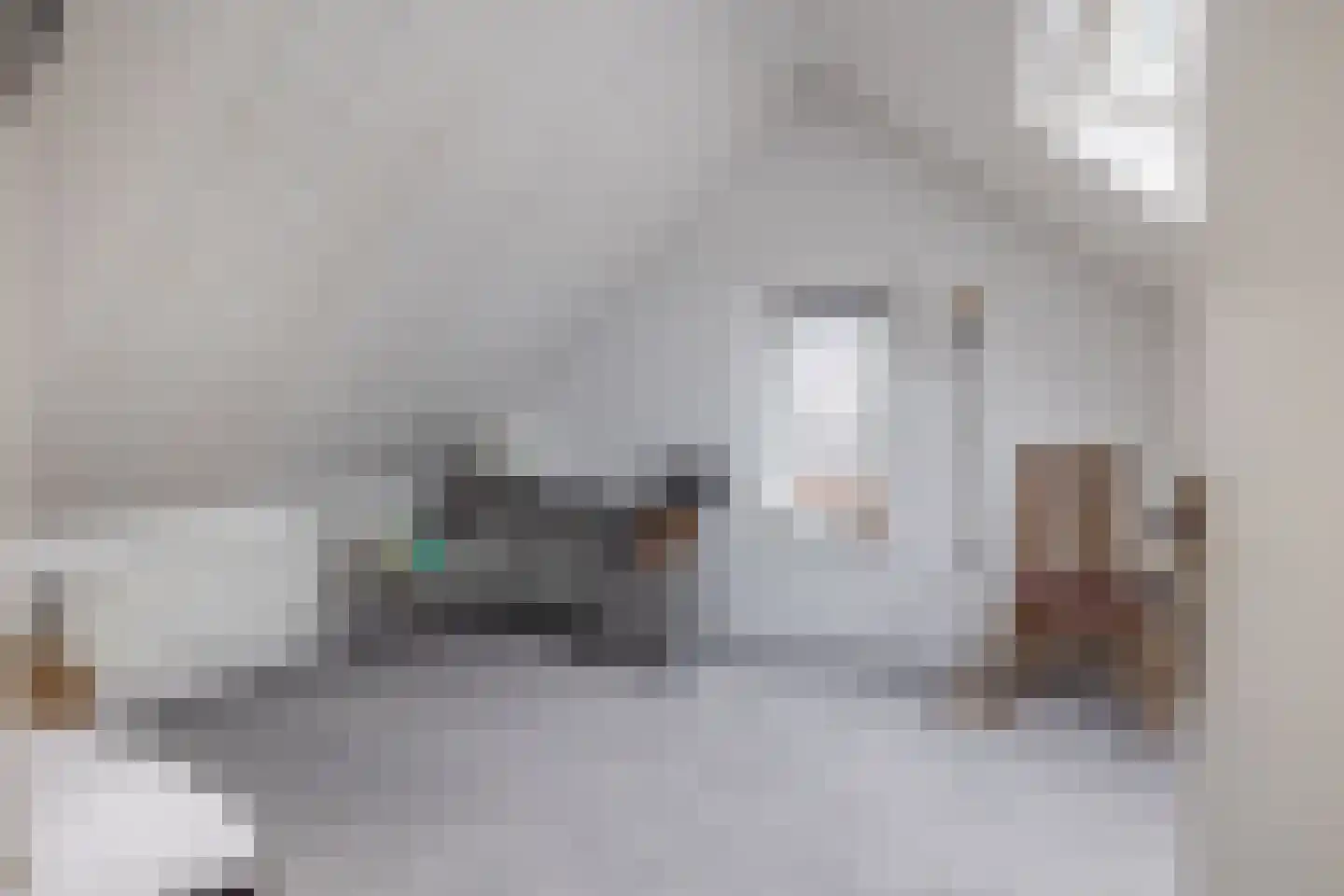 Molenstraat 73 Fijnaart thumbnail 41
