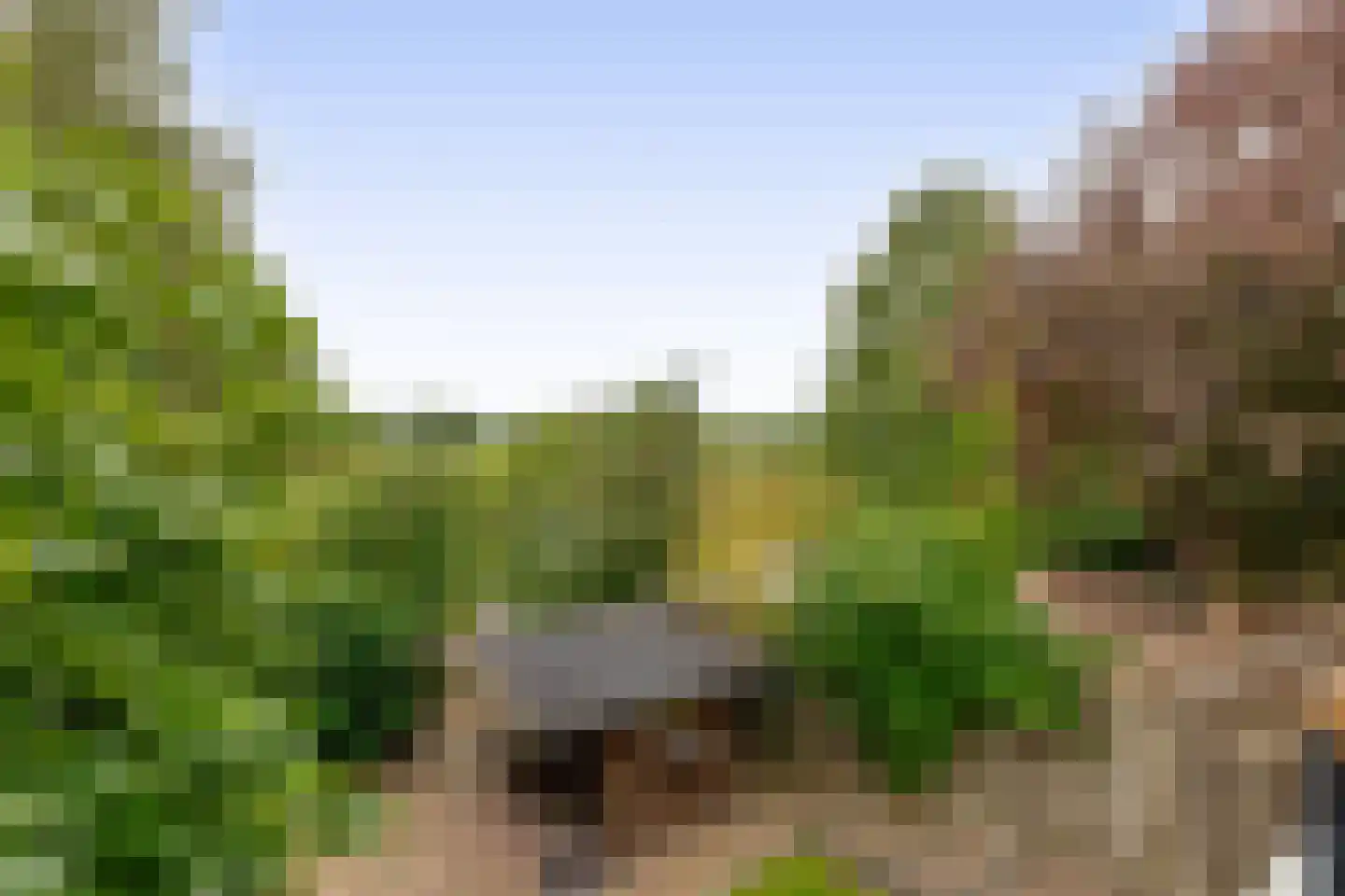 Molenstraat 73 Fijnaart thumbnail 43