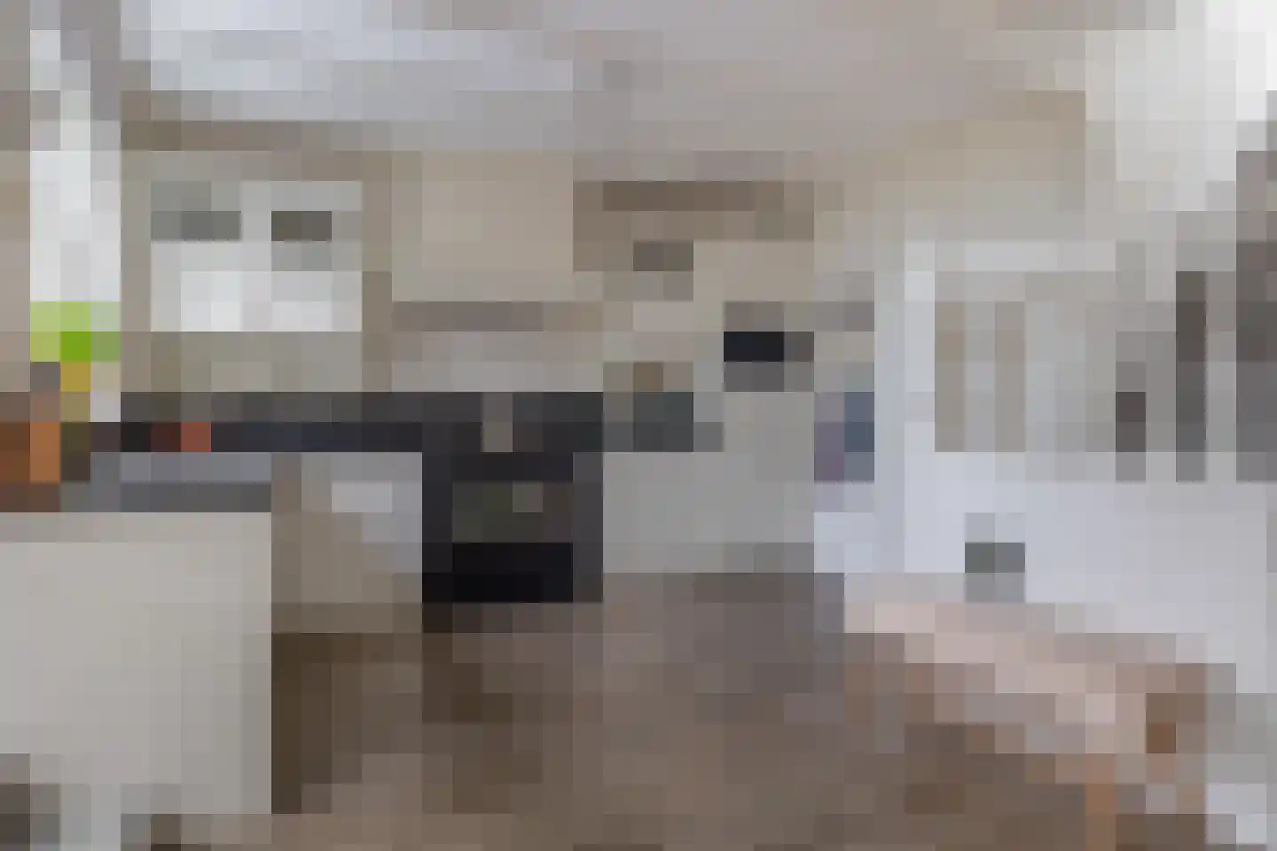 Molenstraat 73 Fijnaart thumbnail 6