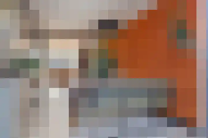Molenstraat 73 Goor thumbnail 12