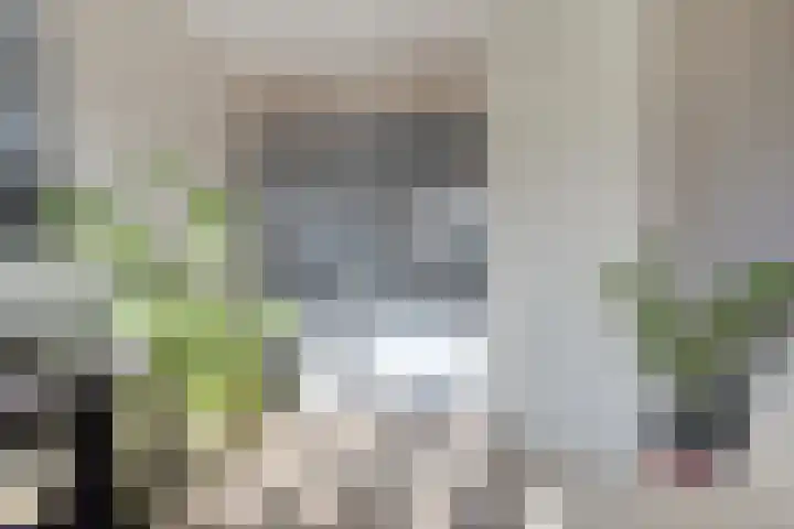 Molenstraat 73 Goor thumbnail 23