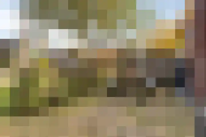 Molenstraat 73 Goor thumbnail 32