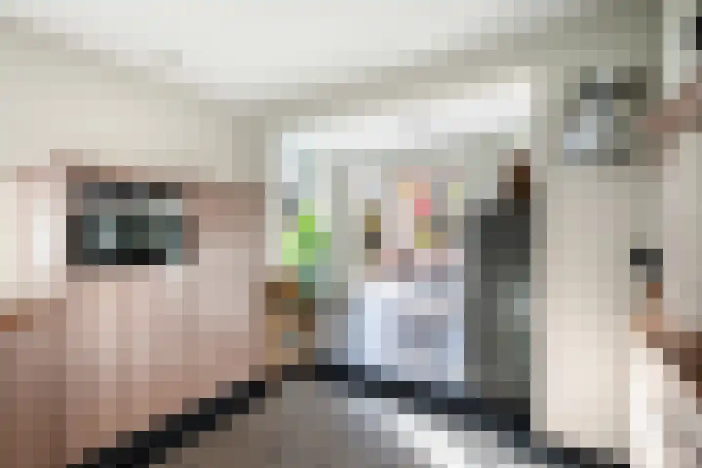 Molenstraat 73 Monster thumbnail 14