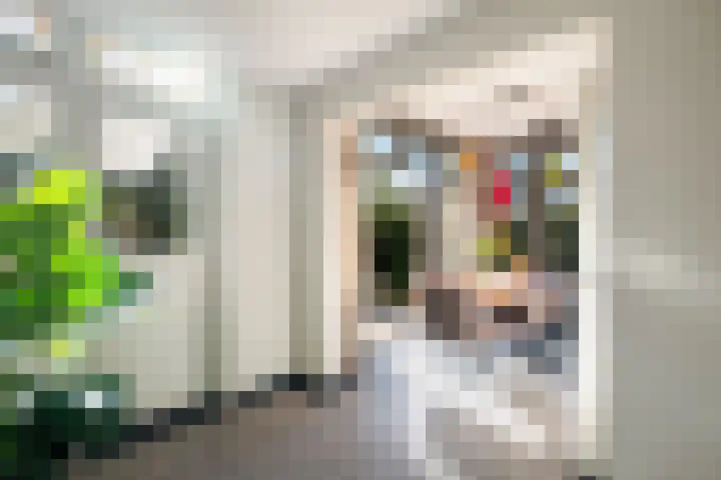 Molenstraat 73 Monster thumbnail 15