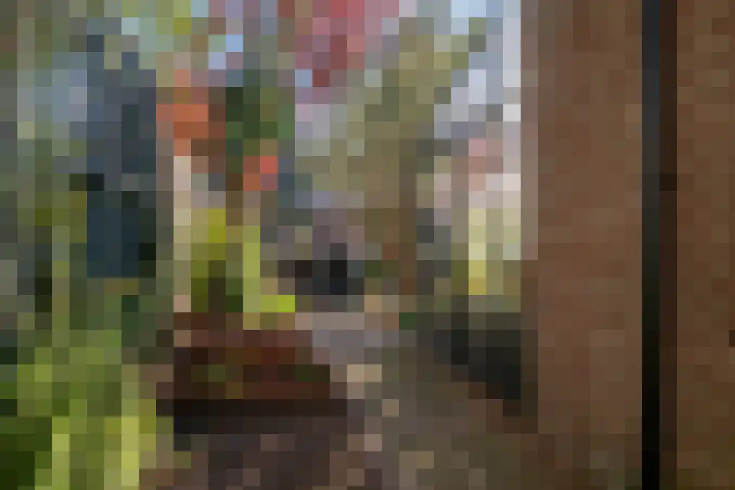 Molenstraat 73 Monster thumbnail 19