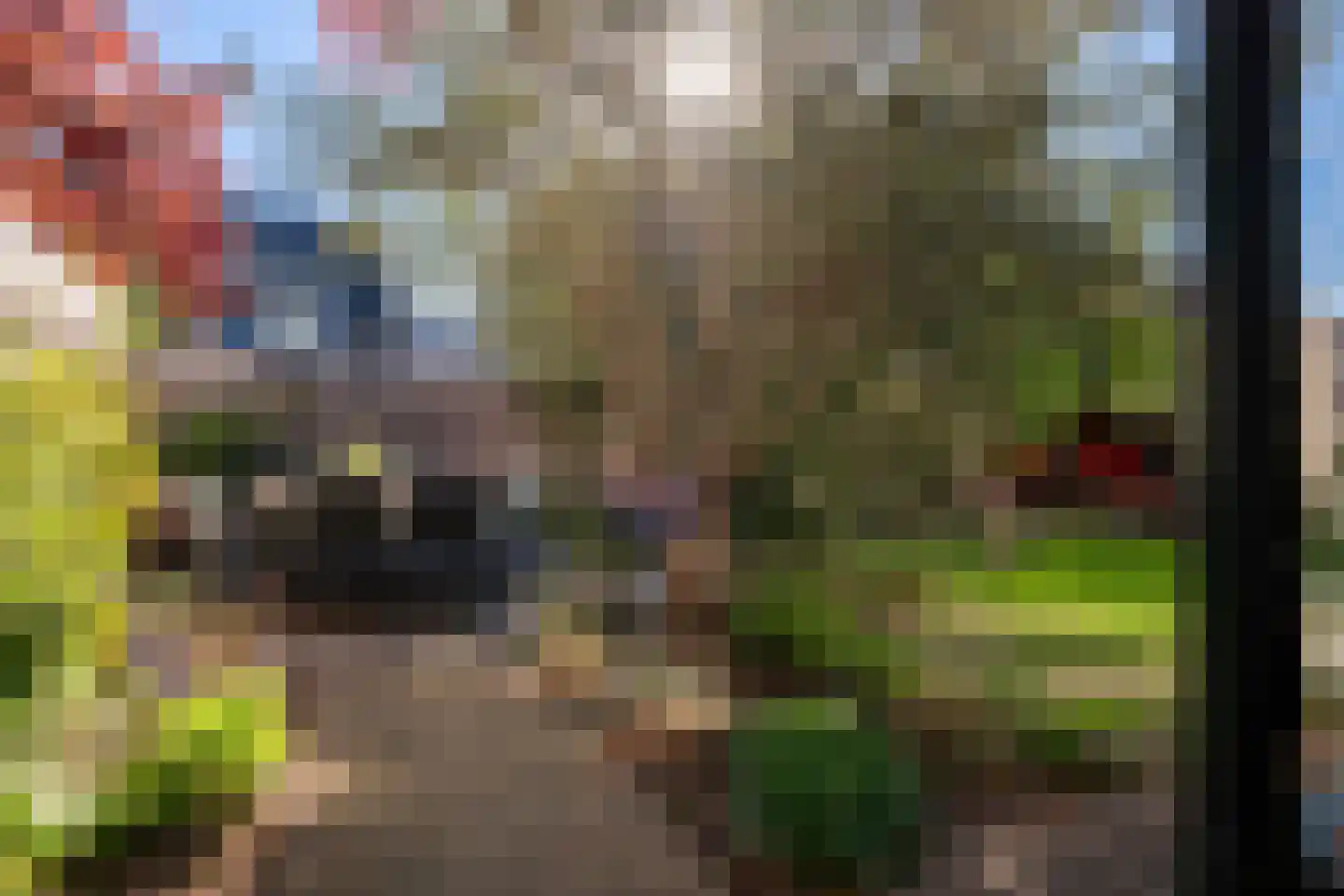 Molenstraat 73 Monster thumbnail 23