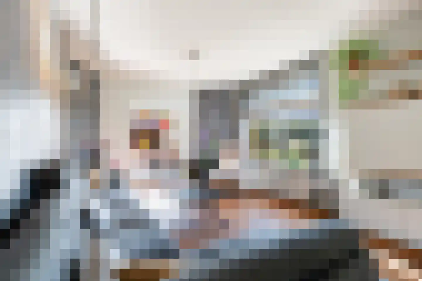Molenstraat 73 Monster thumbnail 5