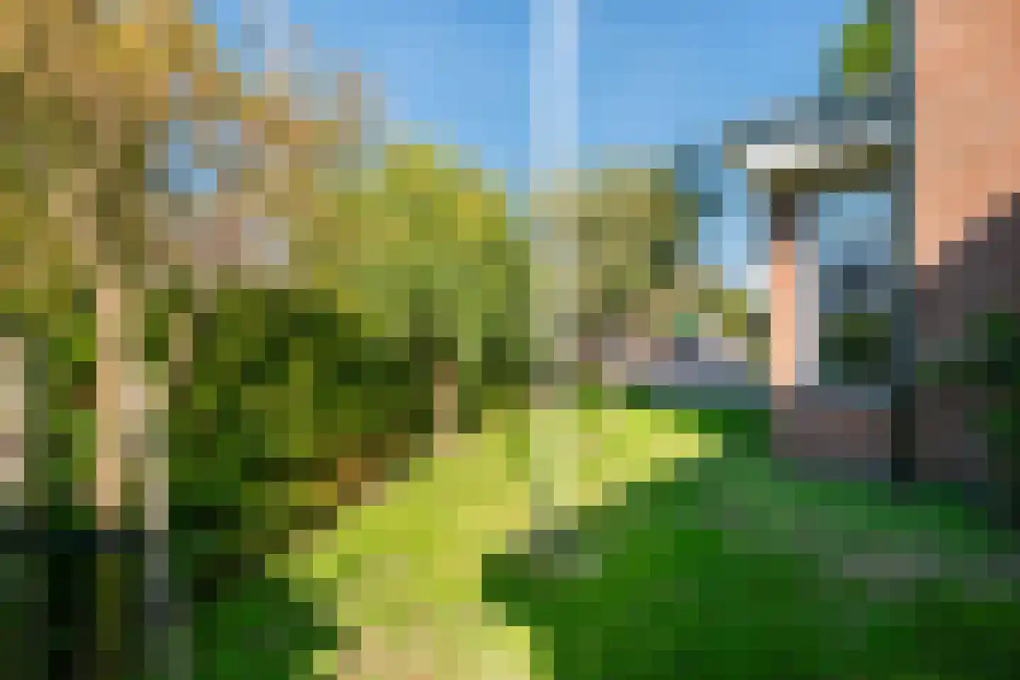 Molenstraat 73 Monster thumbnail 54