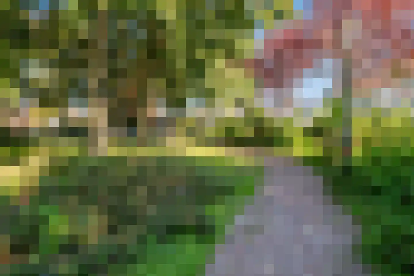 Molenstraat 73 Monster thumbnail 59
