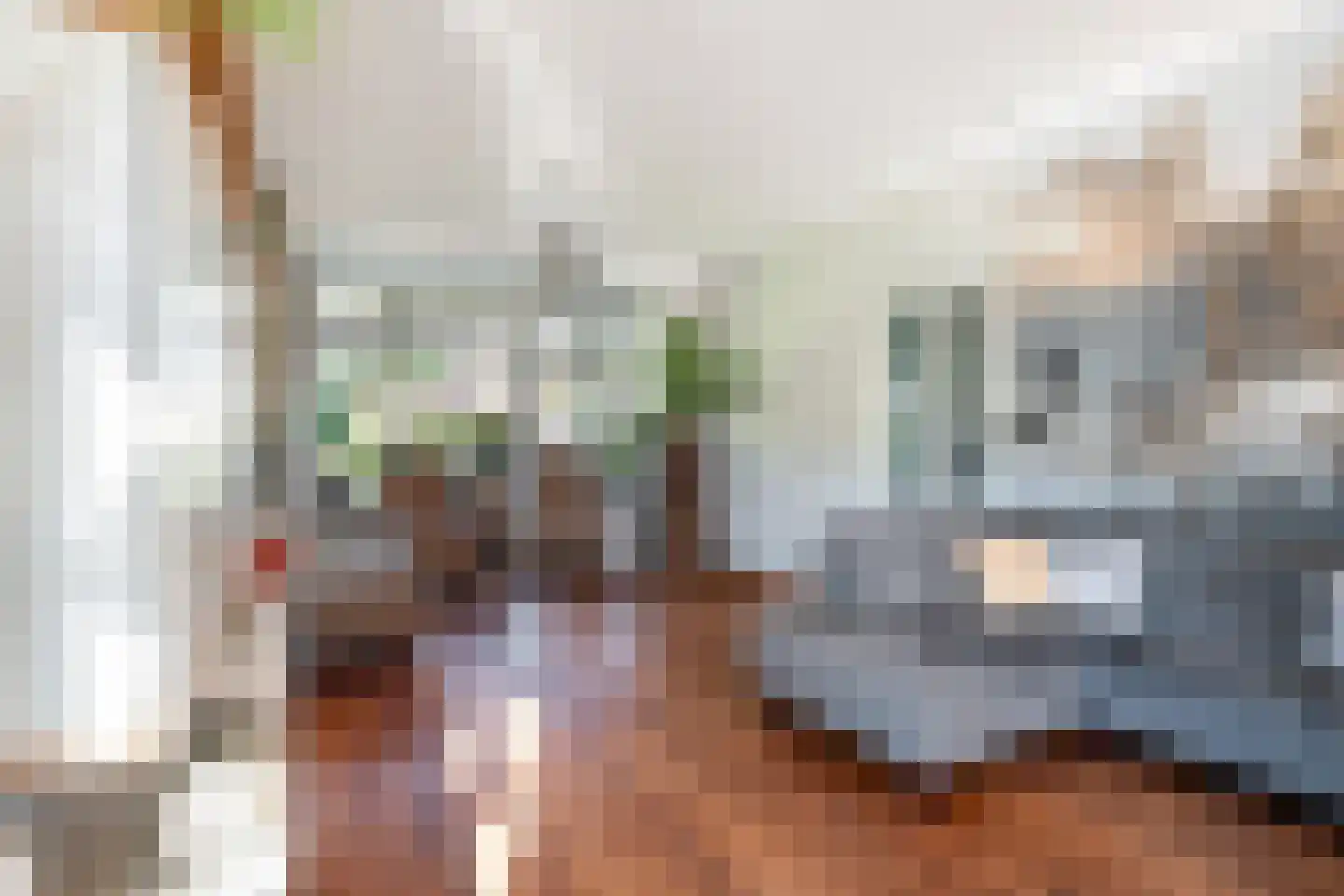 Molenstraat 73 Monster thumbnail 7
