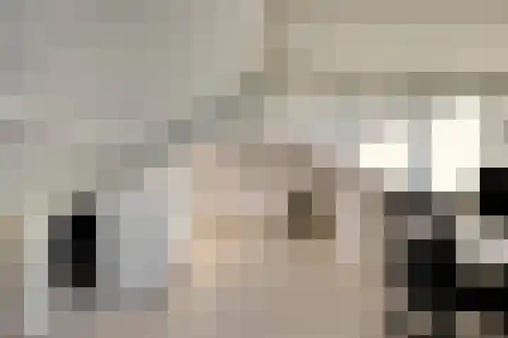 Molenstraat 74 Losser thumbnail 25