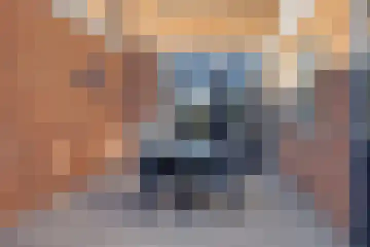 Molenstraat 74 Losser thumbnail 28