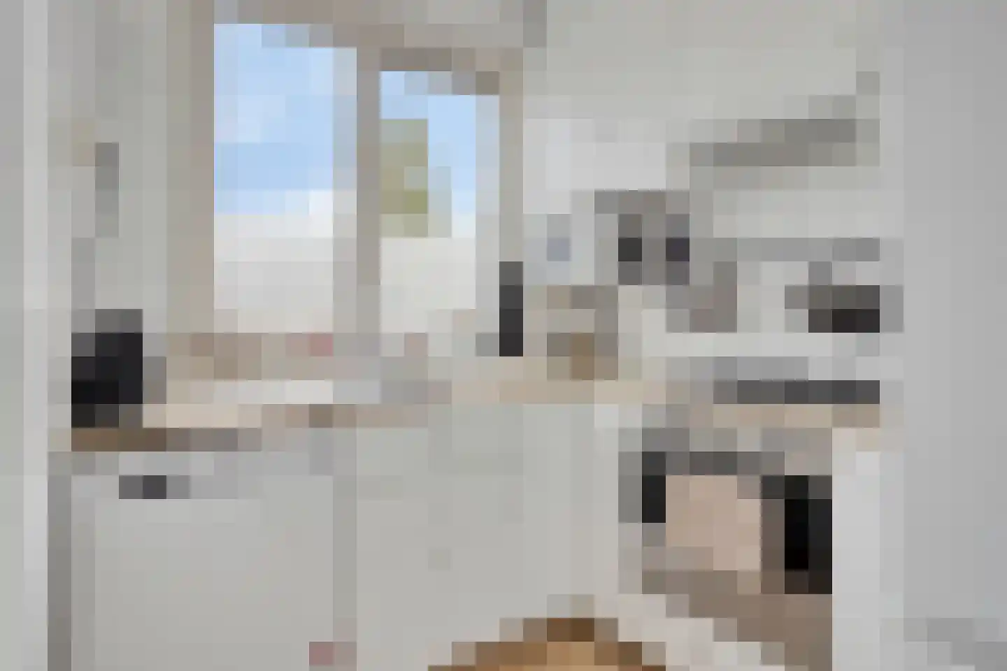 Molenstraat 74 Rotterdam thumbnail 4