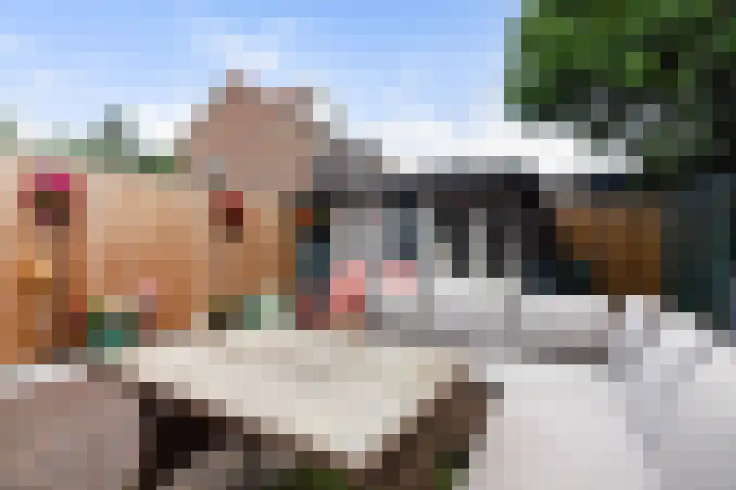 Molenstraat 74 Zoetermeer thumbnail 21