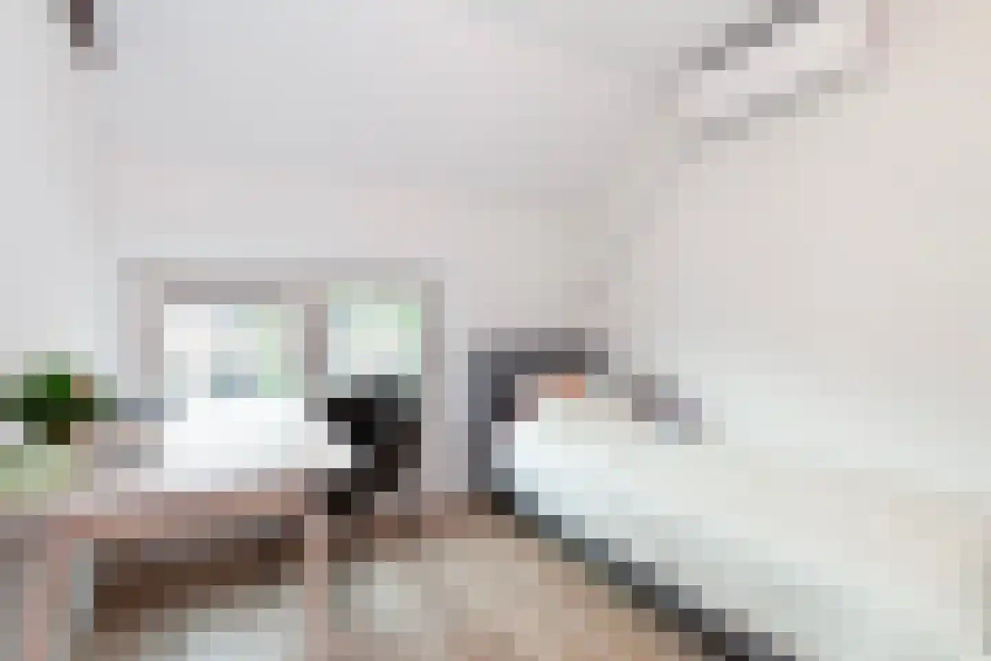 Molenstraat 74 Zoetermeer thumbnail 35