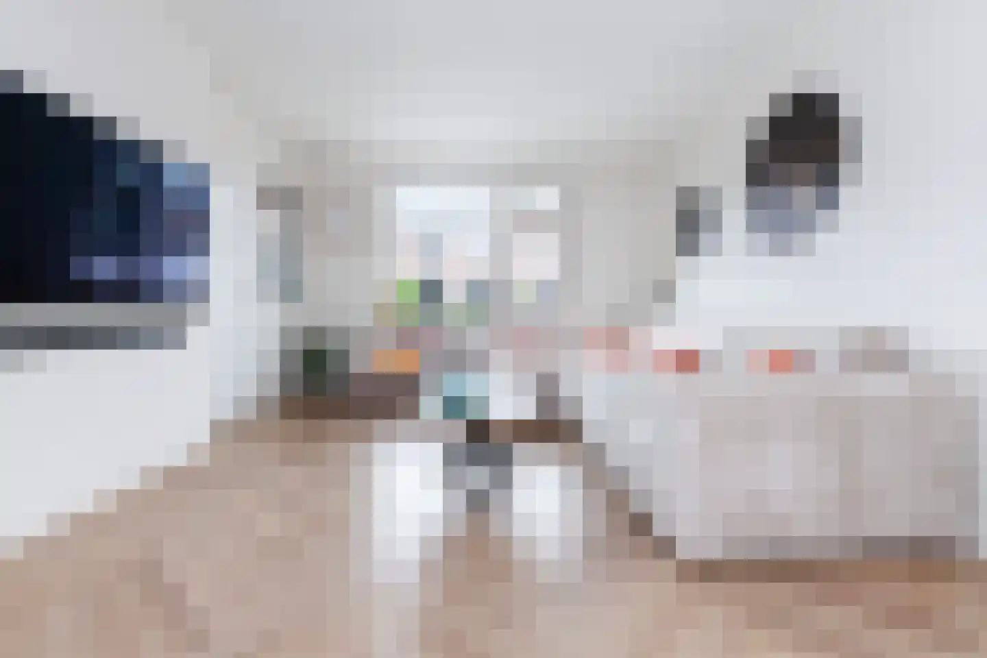 Molenstraat 74 Zoetermeer thumbnail 4