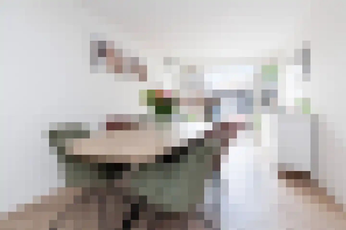 Molenstraat 74 Zoetermeer thumbnail 7