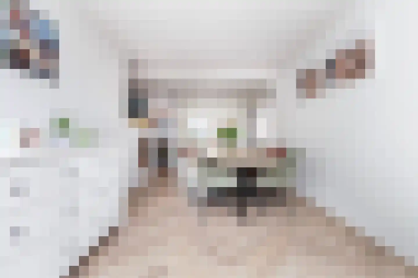 Molenstraat 74 Zoetermeer thumbnail 8