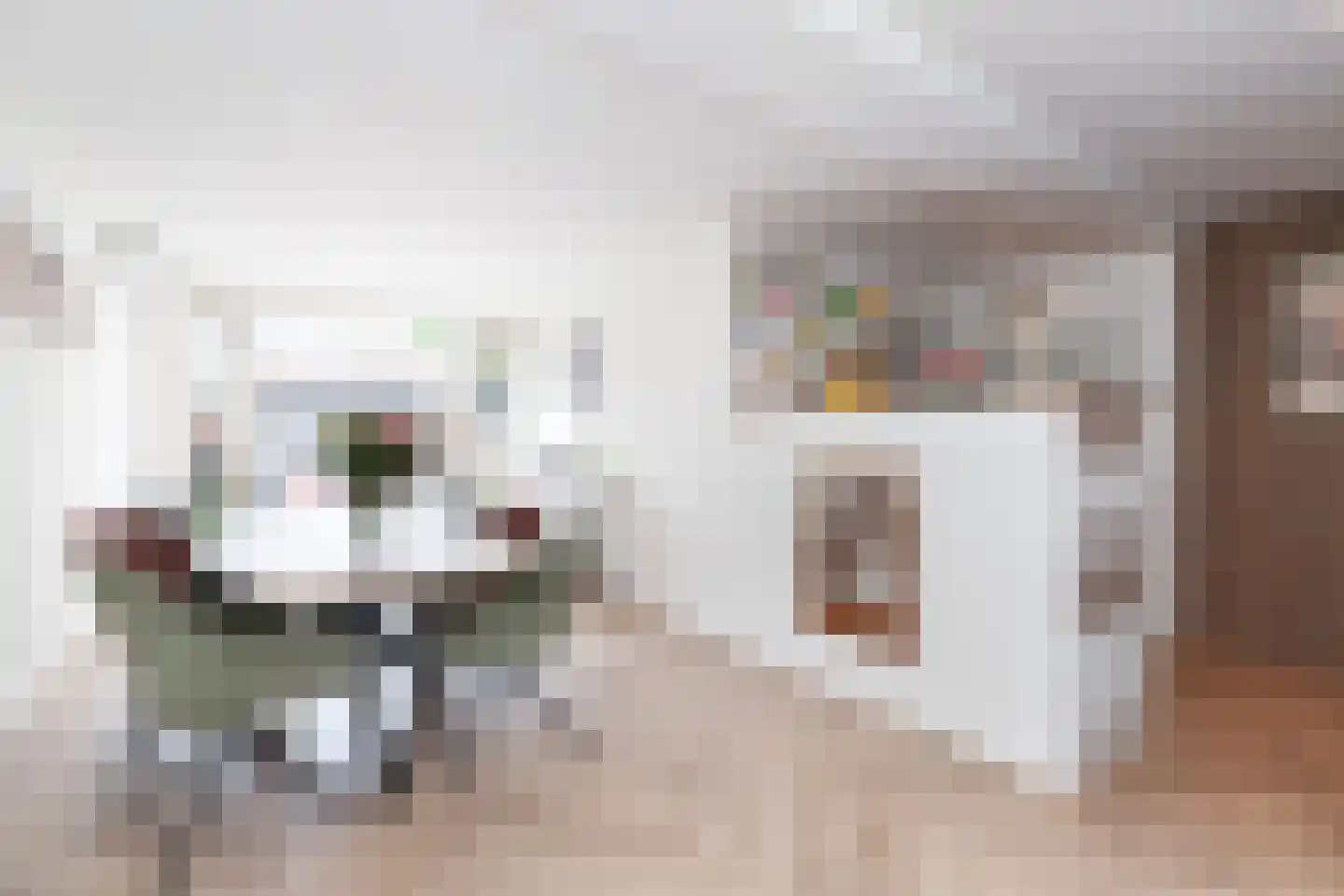 Molenstraat 74 Zoetermeer thumbnail 9