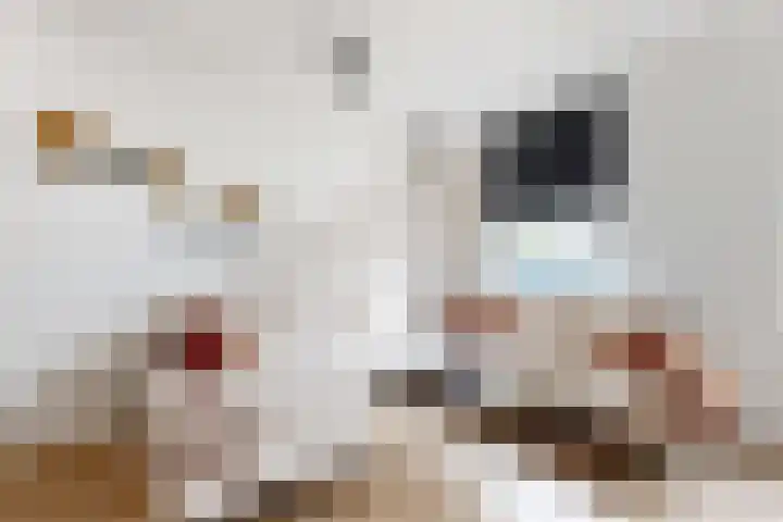 Molenstraat 75 Fijnaart thumbnail 11