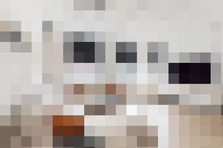 Molenstraat 75 Fijnaart thumbnail 13